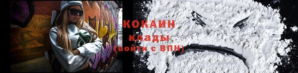 мдпв Карпинск