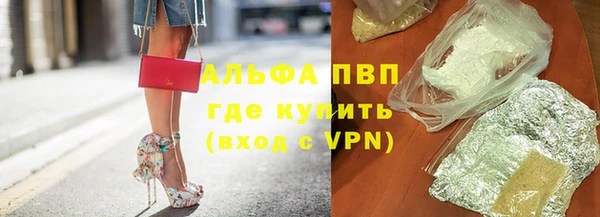 мдпв Карпинск