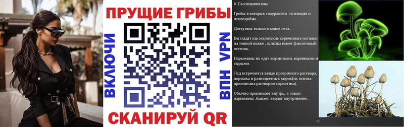 цена   Кузнецк  Галлюциногенные грибы Psilocybine cubensis 