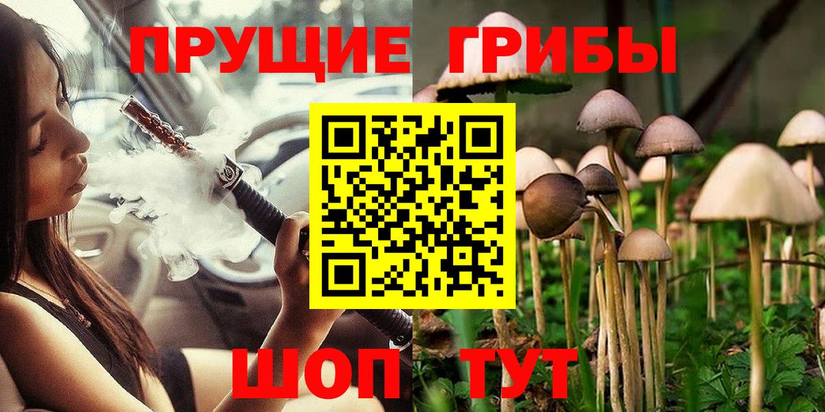 Псилоцибиновые грибы Psilocybe  Вход с VPN  Кузнецк 