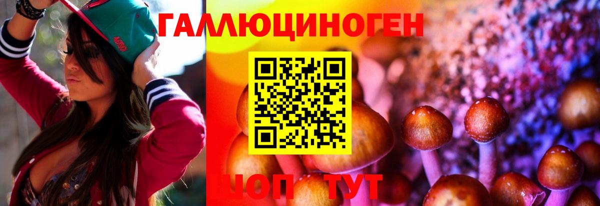 Псилоцибиновые грибы Magic Shrooms Кузнецк